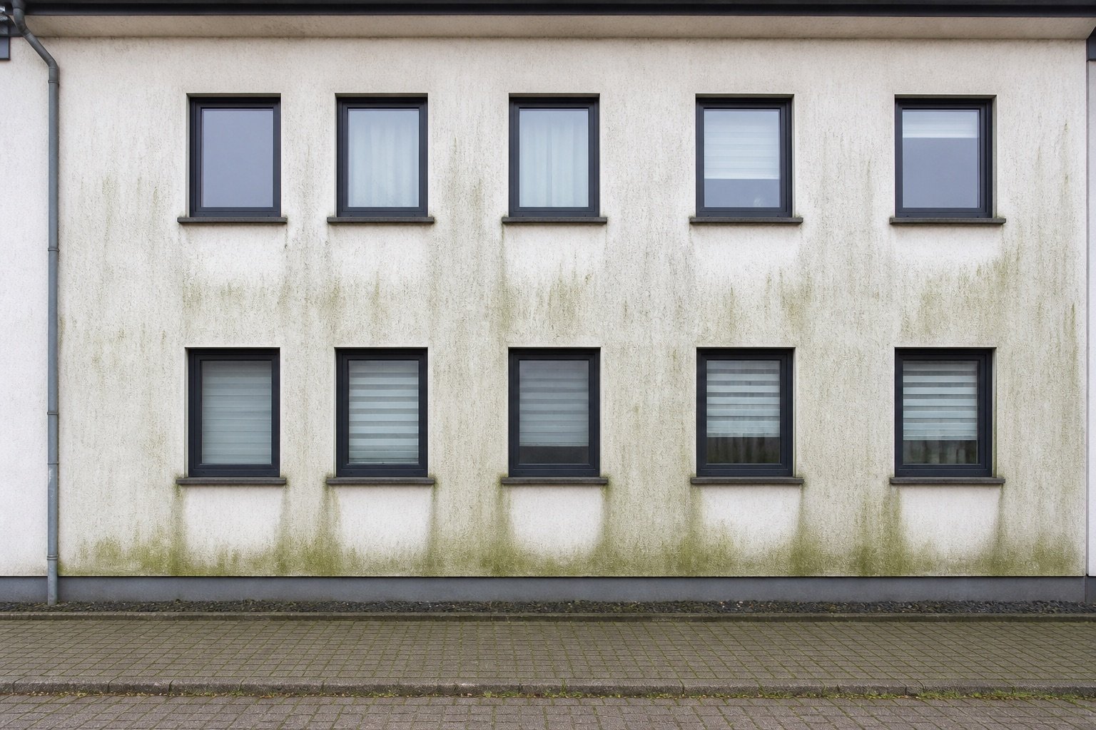 Algae-stained facade before professional cleaning